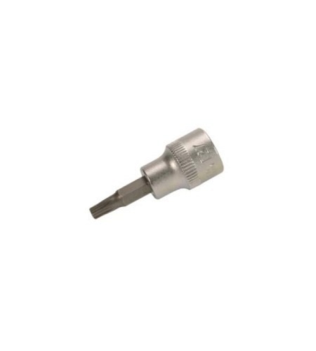 Bit-Einsatz | Antrieb Innenvierkant 10 mm (3/8")..