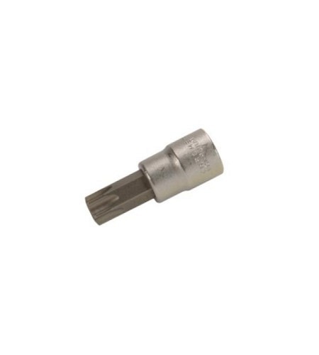 Bit-Einsatz | Antrieb Innenvierkant 10 mm (3/8")..