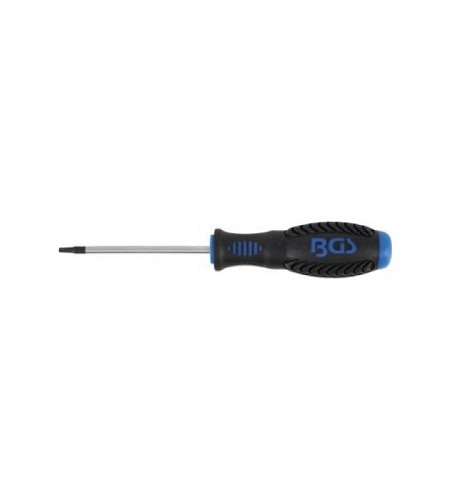 Schraubendreher | T-Profil (für Torx) T10 | Klin..
