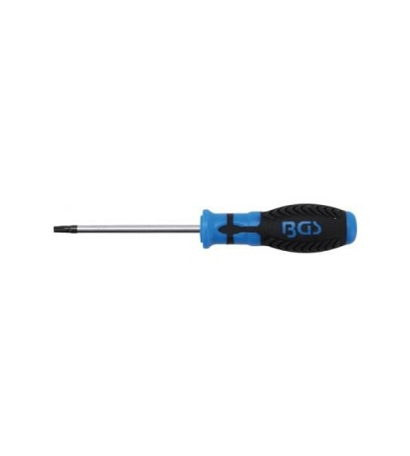 Schraubendreher | T-Profil (für Torx) mit Bohrun..
