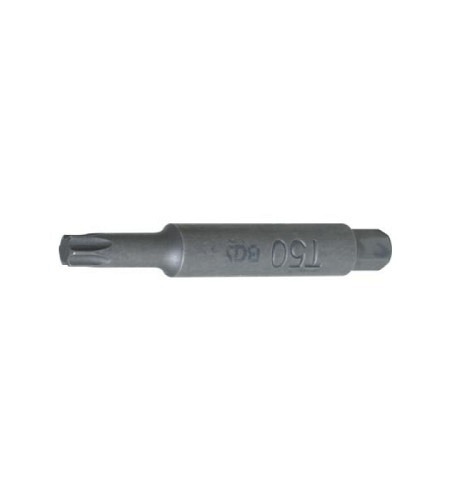 Bit | Antrieb Aussensechskant 10 mm (3/8") | T-Profil (für Torx) T50