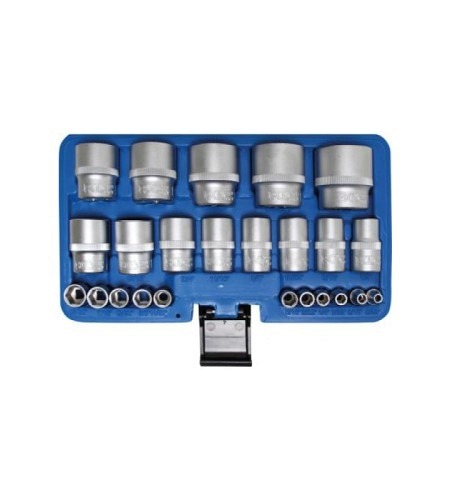 Steckschlüssel-Einsatz-Satz Sechskant | Antriebe Innenvierkant 6,3 mm (1/4"), 12,5 mm (1/2") | Zollmasse | 23-tlg.