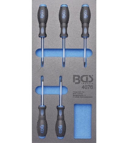 Werkstattwageneinlage 1/3: Schraubendreher T-Profil (für Torx) | 5-tlg.