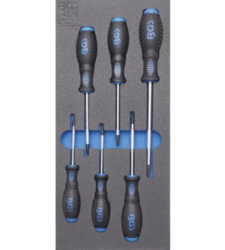 Werkstattwageneinlage 1/3: Schraubendreher T-Profil (für Torx) | 6-tlg.