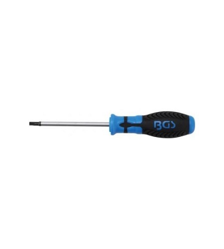Schraubendreher | T-Profil (für Torx) T27 | Klingenlänge 100 mm