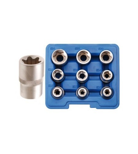 Steckschlüssel-Einsatz-Satz E-Profil | Antrieb Innenvierkant 12,5 mm (1/2") | SW E10 - E24 | 9-tlg.