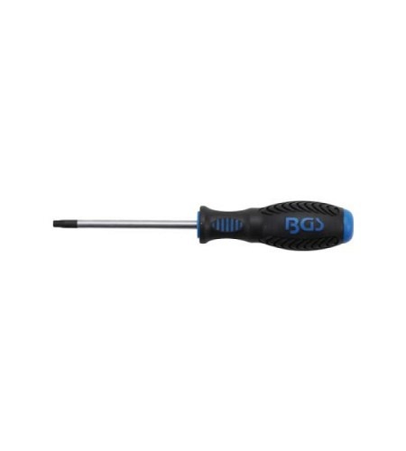 Schraubendreher | T-Profil (für Torx) mit Bohrung T30 | Klingenlänge 100 mm