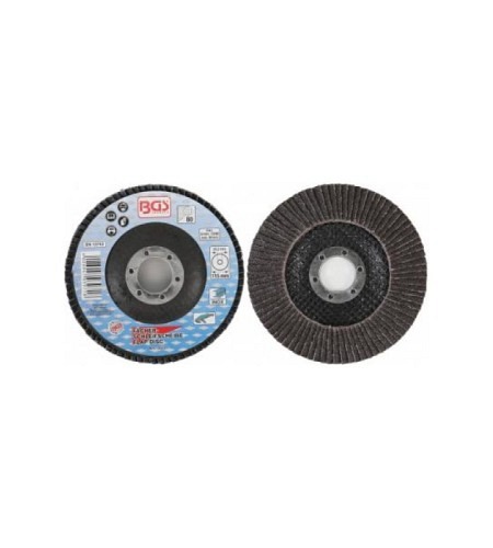 Fächer-Schleif-Scheibe | Ø 115 mm | K 80