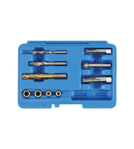 Universal-Reparatur-Satz für Bremssattel-Entlüftungsventile | 1/4" & 1/8" NPT